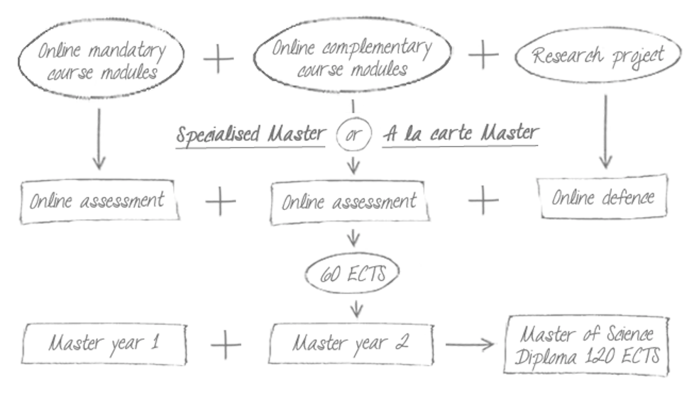 Master Year 2 Overview