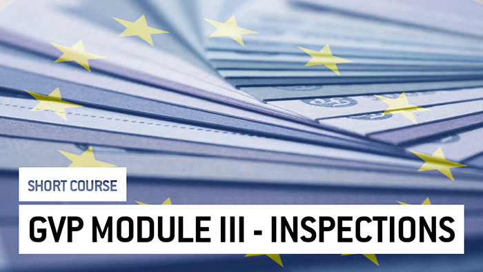 Eu2P Short Course: GVP Module III - PV Inspections