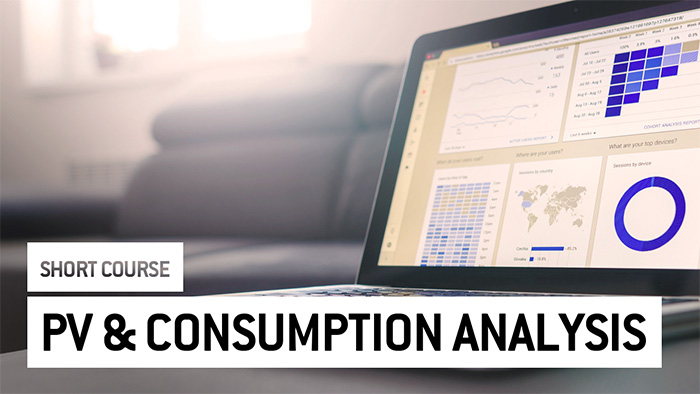 Eu2P Short Course: Integrating Pharmacovigilance and consumption data analysis - uses, limitations and potentiality