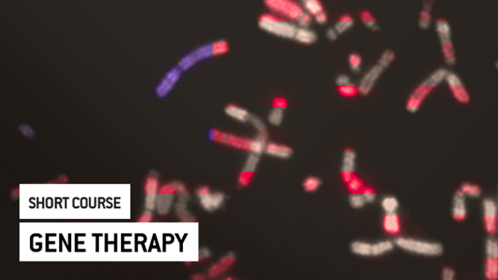 Eu2P Short Course: Gene therapy