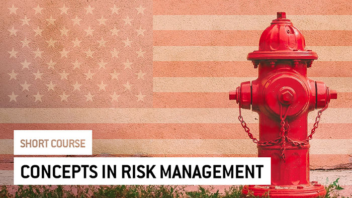 Eu2P Short Course: Concepts in Risk Management